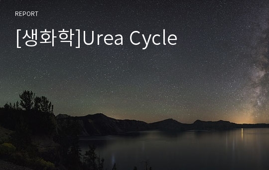 [생화학]Urea Cycle