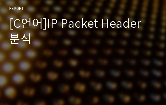 [C언어]IP Packet Header 분석
