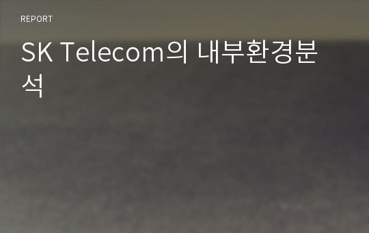 SK Telecom의 내부환경분석