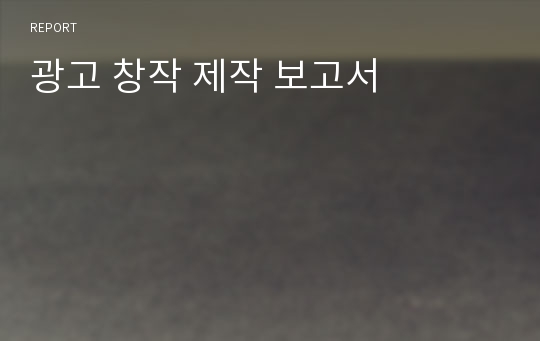 광고 창작 제작 보고서