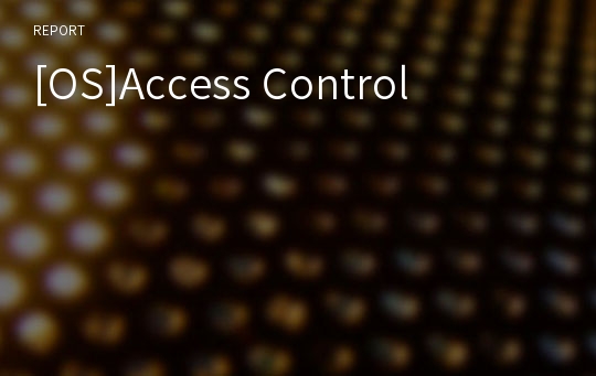 [OS]Access Control