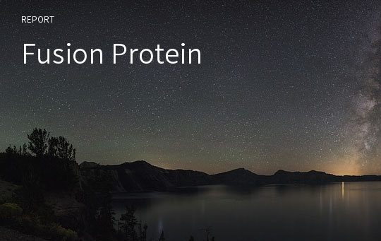 Fusion Protein