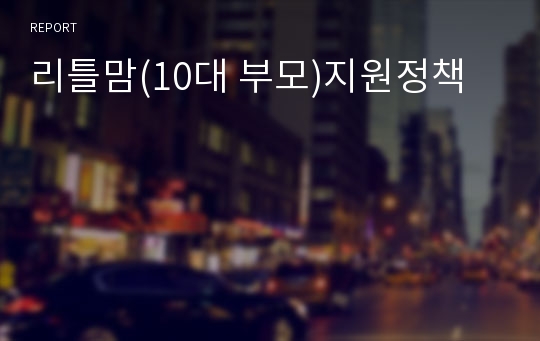 리틀맘(10대 부모)지원정책