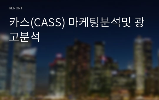 카스(CASS) 마케팅분석및 광고분석