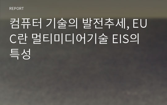 컴퓨터 기술의 발전추세, EUC란 멀티미디어기술 EIS의 특성