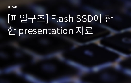 [파일구조] Flash SSD에 관한 presentation 자료