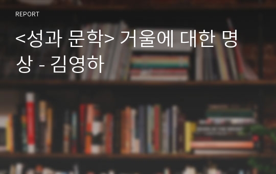 &lt;성과 문학&gt; 거울에 대한 명상 - 김영하
