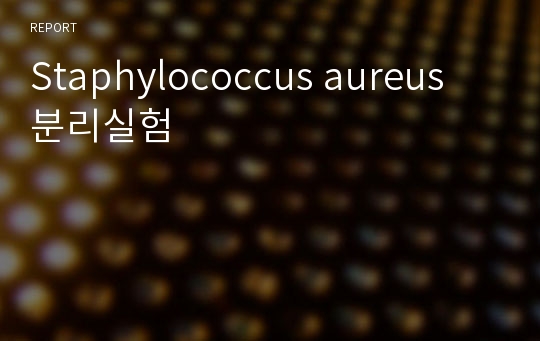 Staphylococcus aureus 분리실험