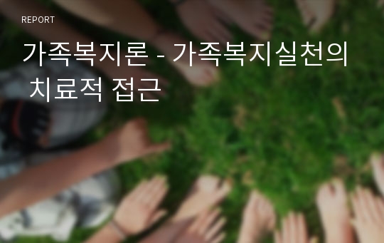 가족복지론 - 가족복지실천의 치료적 접근