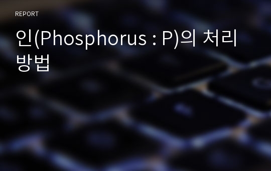 인(Phosphorus : P)의 처리방법