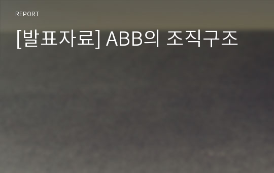 [발표자료] ABB의 조직구조