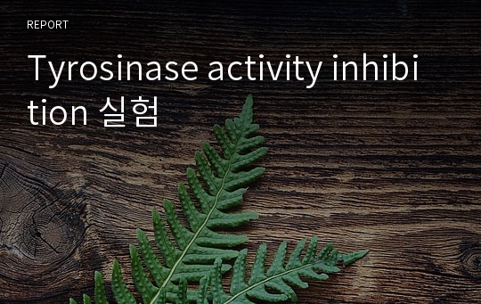 Tyrosinase activity inhibition 실험