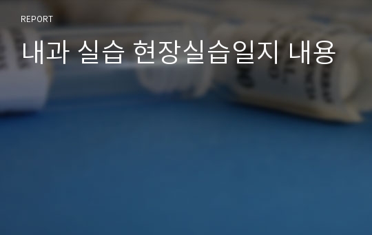 내과 실습 현장실습일지 내용