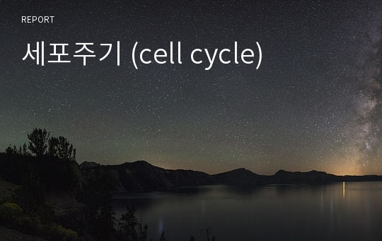 세포주기 (cell cycle)