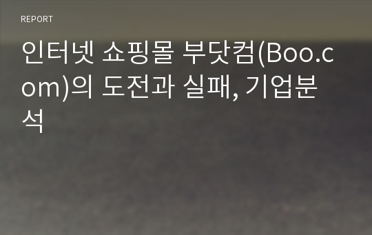 인터넷 쇼핑몰 부닷컴(Boo.com)의 도전과 실패, 기업분석