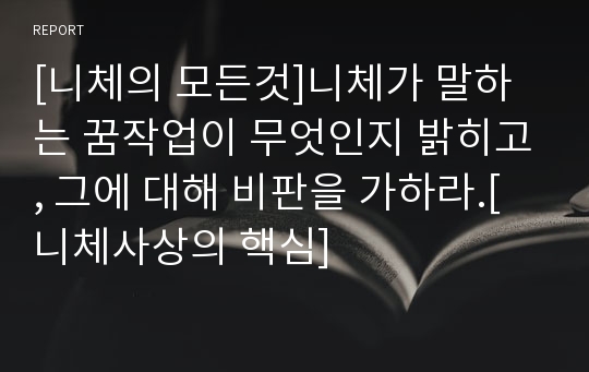 [니체의 모든것]니체가 말하는 꿈작업이 무엇인지 밝히고, 그에 대해 비판을 가하라.[니체사상의 핵심]