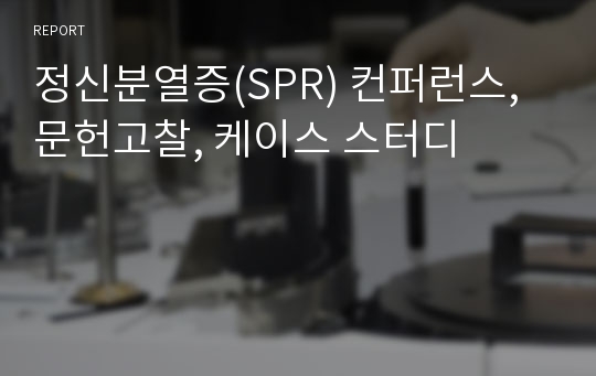 정신분열증(SPR) 컨퍼런스, 문헌고찰, 케이스 스터디