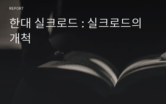 한대 실크로드 : 실크로드의 개척