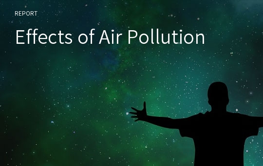 Effects of Air Pollution