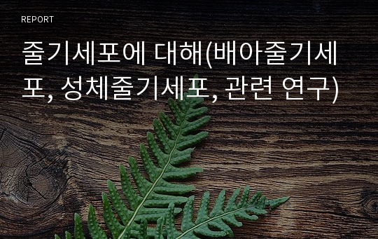 줄기세포에 대해(배아줄기세포, 성체줄기세포, 관련 연구)