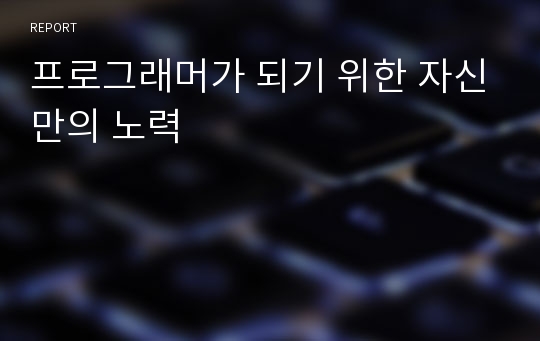 프로그래머가 되기 위한 자신만의 노력