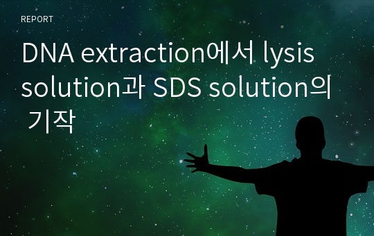 DNA extraction에서 lysis solution과 SDS solution의 기작