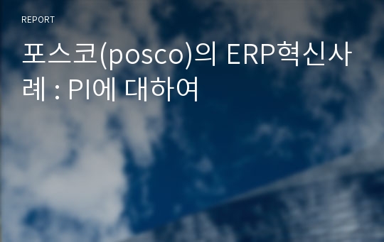 포스코(posco)의 ERP혁신사례 : PI에 대하여