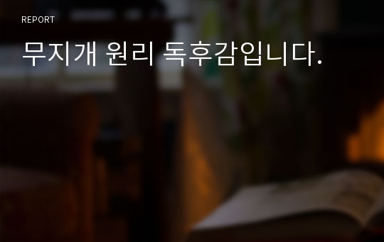 무지개 원리 독후감입니다.