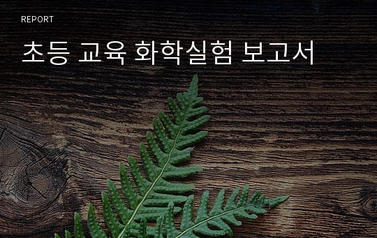 초등 교육 화학실험 보고서