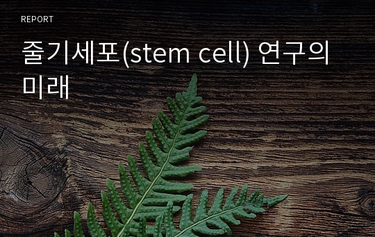 줄기세포(stem cell) 연구의 미래