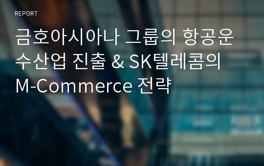 금호아시아나 그룹의 항공운수산업 진출 &amp; SK텔레콤의 M-Commerce 전략