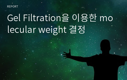 Gel Filtration을 이용한 molecular weight 결정