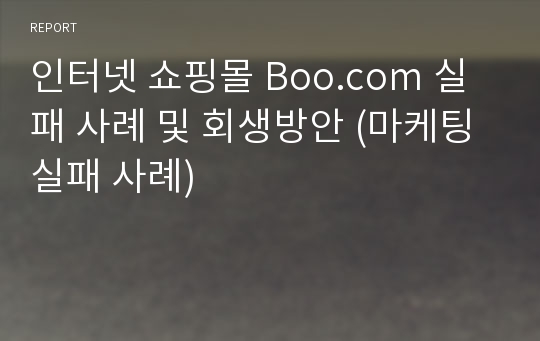 인터넷 쇼핑몰 Boo.com 실패 사례 및 회생방안 (마케팅 실패 사례)