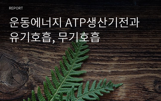 운동에너지 ATP생산기전과 유기호흡, 무기호흡