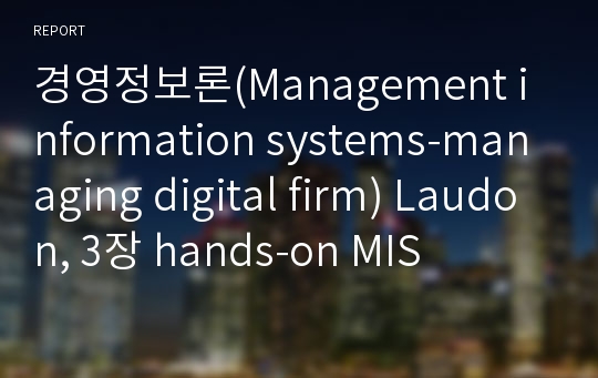 경영정보론(Management information systems-managing digital firm) Laudon, 3장 hands-on MIS