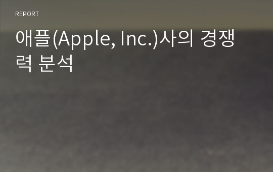 애플(Apple, Inc.)사의 경쟁력 분석