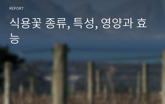 식용꽃 종류, 특성, 영양과 효능