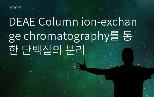 DEAE Column ion-exchange chromatography를 통한 단백질의 분리