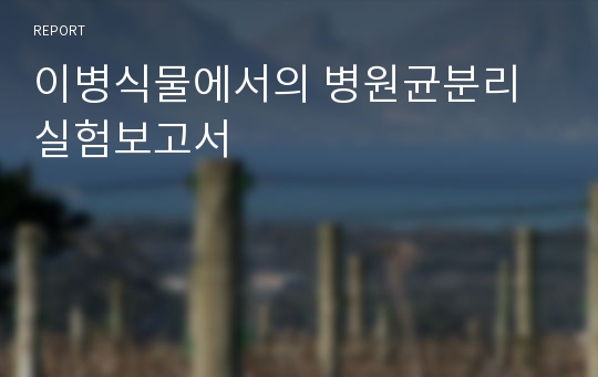 이병식물에서의 병원균분리 실험보고서