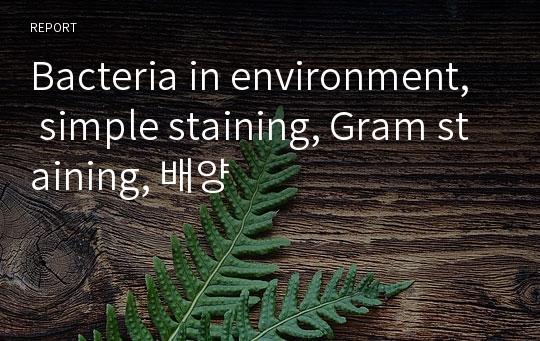 Bacteria in environment, simple staining, Gram staining, 배양