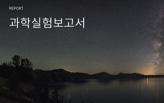 과학실험보고서