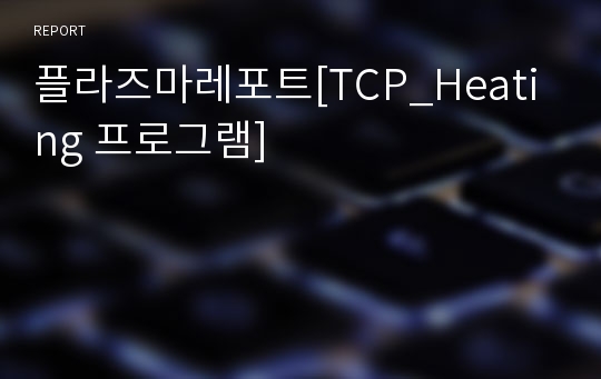 플라즈마레포트[TCP_Heating 프로그램]