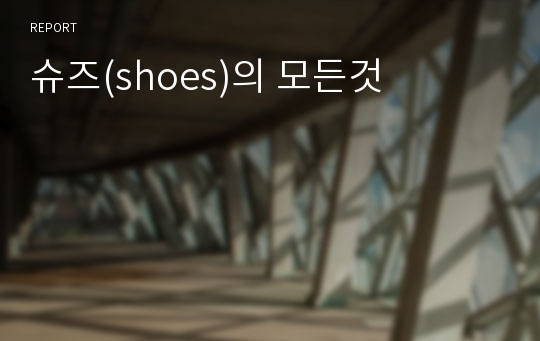 슈즈(shoes)의 모든것