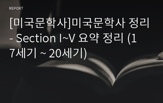 [미국문학사]미국문학사 정리- Section I~V 요약 정리 (17세기 ~ 20세기)