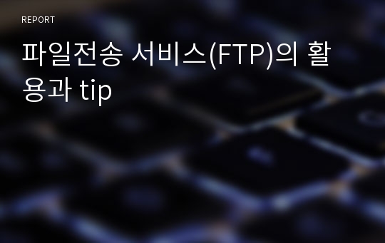 파일전송 서비스(FTP)의 활용과 tip