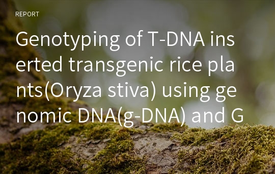 Genotyping of T-DNA inserted transgenic rice plants(Oryza stiva) using genomic DNA(g-DNA) and GUS specific primers by PCR amplification. 식물에서 DNA 추출 및 삽입돌연변이체의 유전자형 선별법