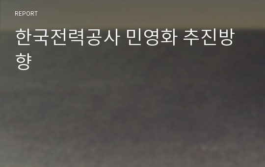 한국전력공사 민영화 추진방향