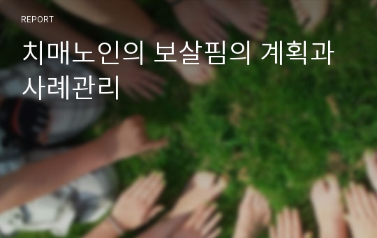 치매노인의 보살핌의 계획과 사례관리