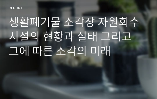 생활폐기물 소각장 자원회수시설의 현황과 실태 그리고 그에 따른 소각의 미래