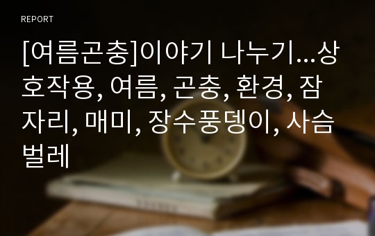 [여름곤충]이야기 나누기...상호작용, 여름, 곤충, 환경, 잠자리, 매미, 장수풍뎅이, 사슴벌레